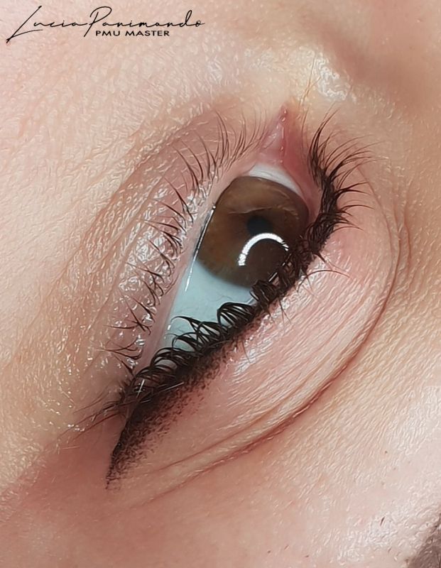 Corso tecniche manuali di dermopigmentazione: eyeliner sfumato